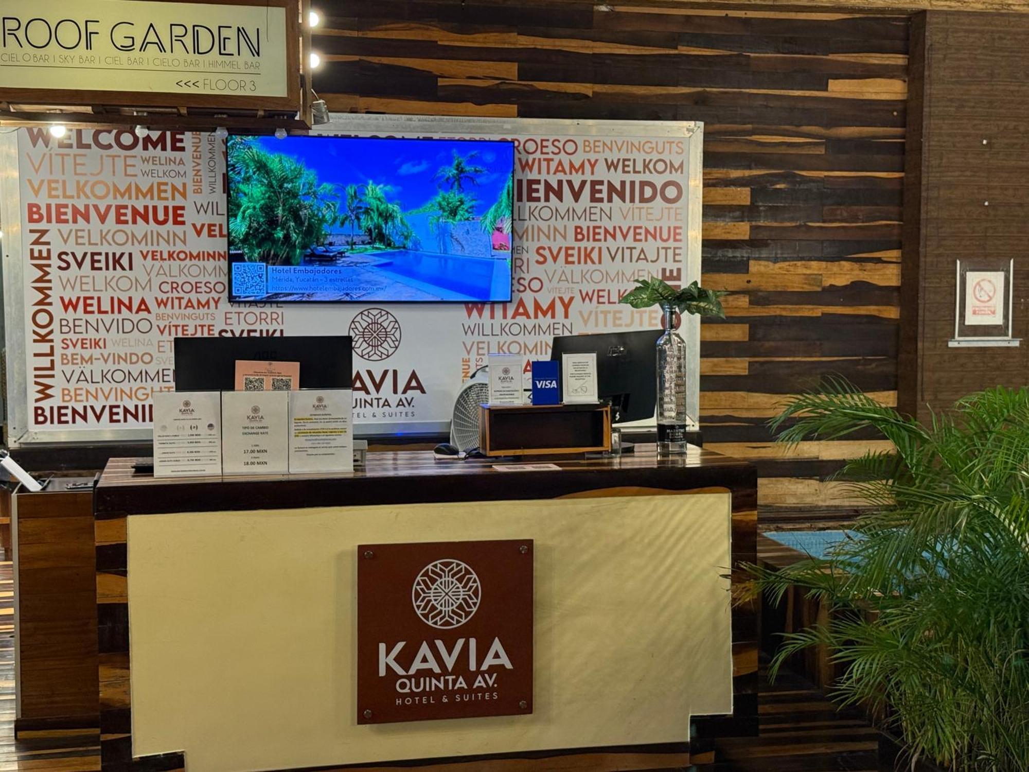 Hotel Kavia 5Th Avenida (Adults Only) Playa del Carmen Eksteriør bilde