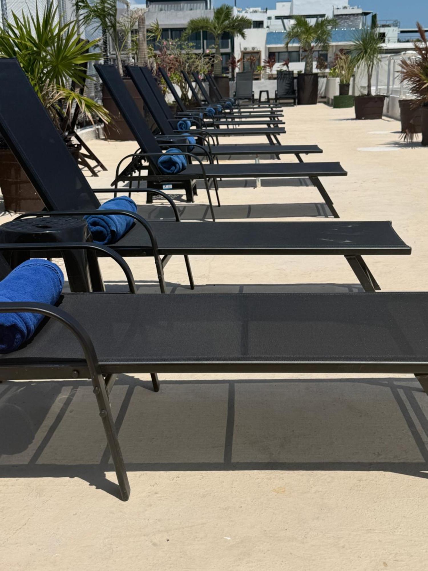 Hotel Kavia 5Th Avenida (Adults Only) Playa del Carmen Eksteriør bilde